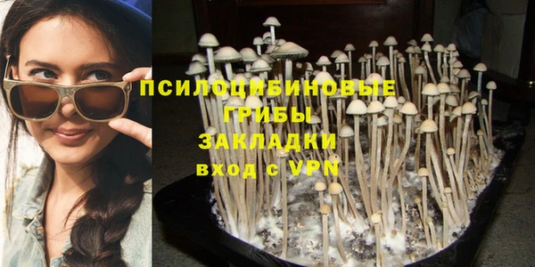 тгк Горно-Алтайск